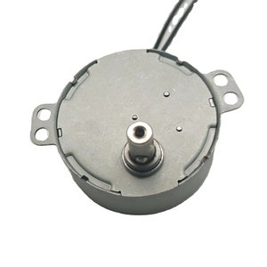 Moteur synchrone miniature à engrenages monophasé haute qualité, grand couple, 110V-240V TY-50 4W AC pour extracteur de jus et appareils électroménagers - Product Image 2