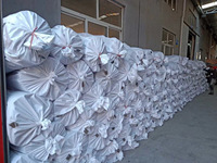 Prix usine rouleau personnalisé PVC bobine tapis de sol nouilles entrée Spaghetti coussin tapis pour voitures tapis d'entrée