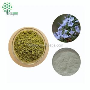 Ekstrak Rosemary Alami Asam Ursolat 50% Bubuk Grosir - Product Image 5