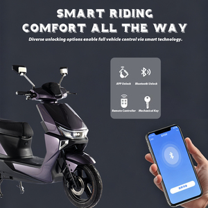 Moto électrique PACIFIC 1000W 60V 24AH avec batterie au lithium, pneus 3.0-12, fabricant OEM, moto électrique pour adultes, CE - Product Image 4