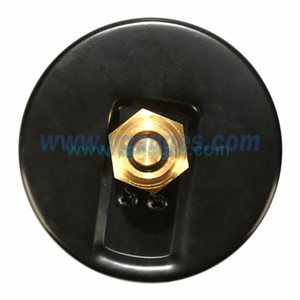 Chất lượng cao Thermo manometer Nhiệt Độ Đo Hot Bán nhà máy bán buôn - Product Image 5