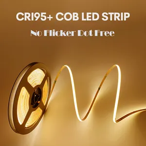 3 Jahre Garantie COB LED-Streifen 480LEDs CE RoHS 12V 24V 100ft Warmweiß 6500k Licht Flexible COB LED-Licht leiste