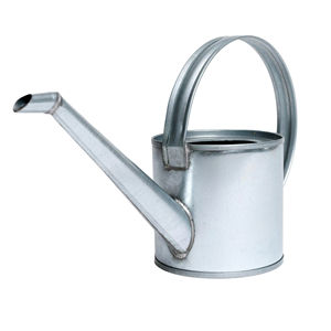 Bidon d'eau 1L Arrosoir en métal galvanisé Fournitures Outils pour plantes de jardinage d'intérieur en plein air avec poignée et bec verseur - Product Image 1