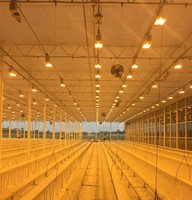 Lámpara de Cultivo Hidropónico de 1000W Gavita HPS de 1000 Vatios con Balastro Electrónico