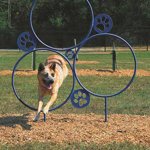 Equipo redondo de reproducción personalizado de fábrica, equipo de parque para perros, rampa para caminar para perros, arco, barril Wow, obstáculos de agilidad de salto ajustables - Product Image 4