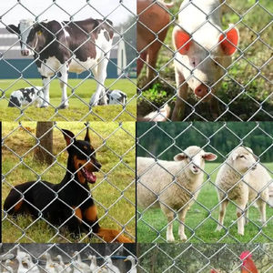 <span class=keywords><strong>รั้ว</strong></span>ลวดตาข่ายราคาถูกพร้อมเสาแบบม้วนสำหรับที่ดินขนาดเฮกตาร์ <span class=keywords><strong>ราคา</strong></span>ของรั้วตาข่าย - Product Image 4