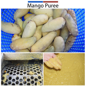 Ligne de production industrielle de nettoyage et de pulpage de mangues 5t/h, laveuse à bulles, pulpeur de fruits pour usine de transformation de jus - Product Image 6