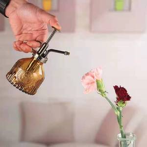 Pulvérisateur en verre pour plantes, petit arrosoir avec pompe en bronze, arrosoir rétro en verre vintage, mini arrosoir - Product Image 5
