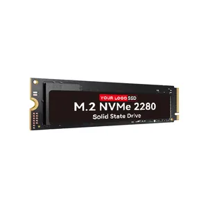 솔리드 스테이트 드라이브 거대한 용량 공장 상업용 Pcie 3.0 4.0 M.2 Nvme SSD 1TB 120G 128GB 240GB 256GB 512GB 1TB SSD 노트북