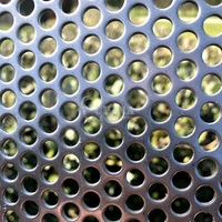 Acier inoxydable 201/304/316 perforé maille métallique écran enduit de poudre haut-parleur Grill tissu pour pliage coupe soudage
