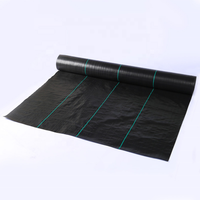 Toile de paillage agricole en plastique tissé PP, tapis anti-mauvaises herbes, filet pare-soleil extérieur