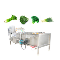 China fabrieks prijs fruit- en groentewasmachine, 304 roestvrij staal, bubbelwasmachine