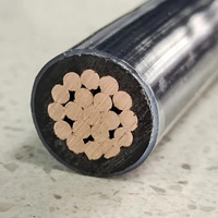 150mm2 12 AWG 600V Cable eléctrico de cobre trenzado THHN THWN Cables12 Awg Cables de cobre