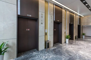 Elevador de pasajeros de accionamiento hidráulico profesional FUJI para uso en exteriores de villas, diseño moderno, elevador residencial comercial económico - Product Image 2