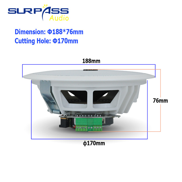 BT622 6.5-inch Premium Ceiling Speakers Suitable for Home Hotel Commercial and Cinema Systems