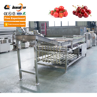 Machine de tri des cerises, ligne de tri des myrtilles, machine de calibrage des avocats avec revêtement en matériau souple épaissi