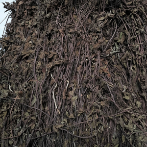 100% hojas de gelatina de hierba Natural (MESONA CHINENSIS) para postre Vietnam hojas de gelatina de hierba negra seca para pudín de Milktea - Product Image 1