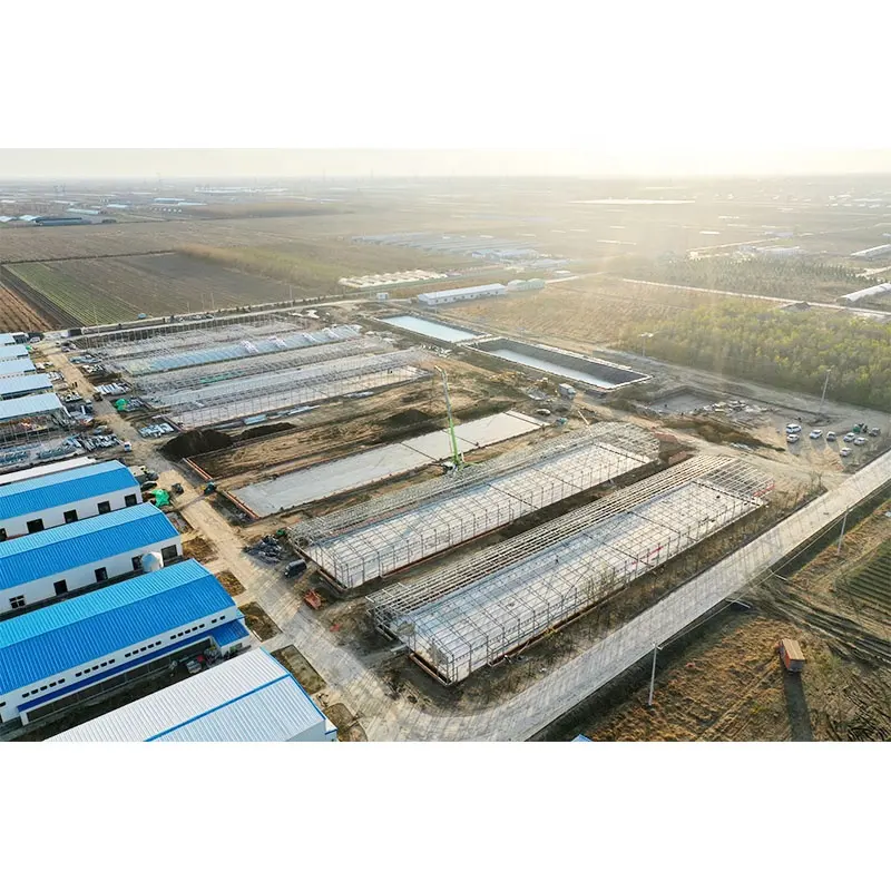 Prefab steel structure frame pig duck chicken broiler layer poultry shed building steel structure poultry live stock shed