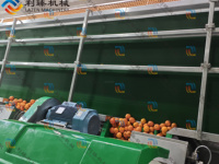 1-200 T/h Citrus Citroen Sinaasappelsap Productielijn Vruchtensap Maken Machine Half Snijtype Extractor