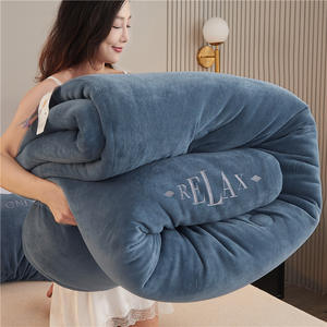 Classe a hiver couleur unie haut gramme Double face brodé lait velours courtepointes roi reine taille épaissie chaud doux couette - Product Image 1