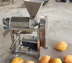 Fruit Pulp Extractor Machine Automatic Mango Pulp Making Machine For Wholesale