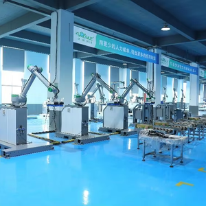 Hoogrenderende Collaboratieve Palletiserende <span class=keywords><strong>Robot</strong></span> | 30Kg 40Kg Payload | Slimme Palletizer Voor Dozen, Dozen En Tassen - Product Image 2