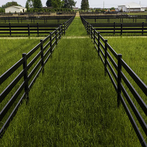 ระบบรั้วม้าพีวีซี<span class=keywords><strong>3</strong></span>รางสำหรับสนามม้าฟาร์มม้ารั้วพีวีซีสีดำทนทาน - Product Image 3