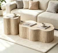Ensemble de 2 tables basses avec motif imitation marbre, design moderne minimaliste, tables d'appoint irrégulières en forme de nuage pour appartement