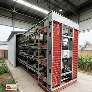 Équipement avicole robuste le plus vendu <span class=keywords><strong>pour</strong></span> l'élevage de poules pondeuses, fournisseur de cages à poules, chaîne d'approvisionnement en aliments <span class=keywords><strong>pour</strong></span> poules pondeuses - Product Image 1