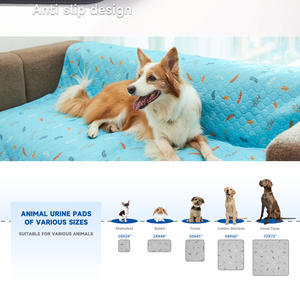 Almohadilla Reutilizable para Mascotas con Estampado Moderno para Invierno, Transpirable, Absorbente, Antideslizante y Lavable a Máquina - Product Image 5