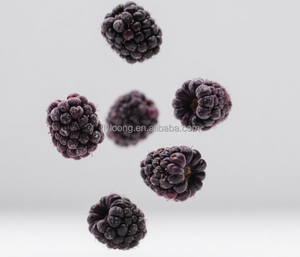 Gran oferta, 50g, aperitivos de frutas liofilizadas, sabor dulce, Etiqueta Privada, moras secas, <span class=keywords><strong>cerezas</strong></span> agrias sin azúcar, fabricantes de China - Product Image 3