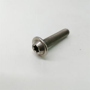 Tornillo de Brida Torx de Acero Inoxidable 304 Personalizado con Arandela, Estándar ISO, Resistente a la Corrosión - Product Image 1