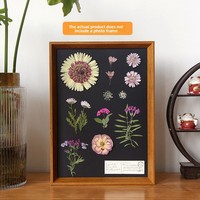 Bunga Kering Tekan Dekoratif Herbarium Seni Bunga Besar Bahan Kelopak Bunga Kit DIY Buatan Tangan untuk Dekorasi Bingkai Foto Lampu Kipas