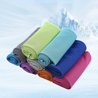 FF6136 Serviette de sport en microfibre personnalisée avec logo imprimé, absorbant la transpiration, séchage rapide, pour la gym et l'entraînement