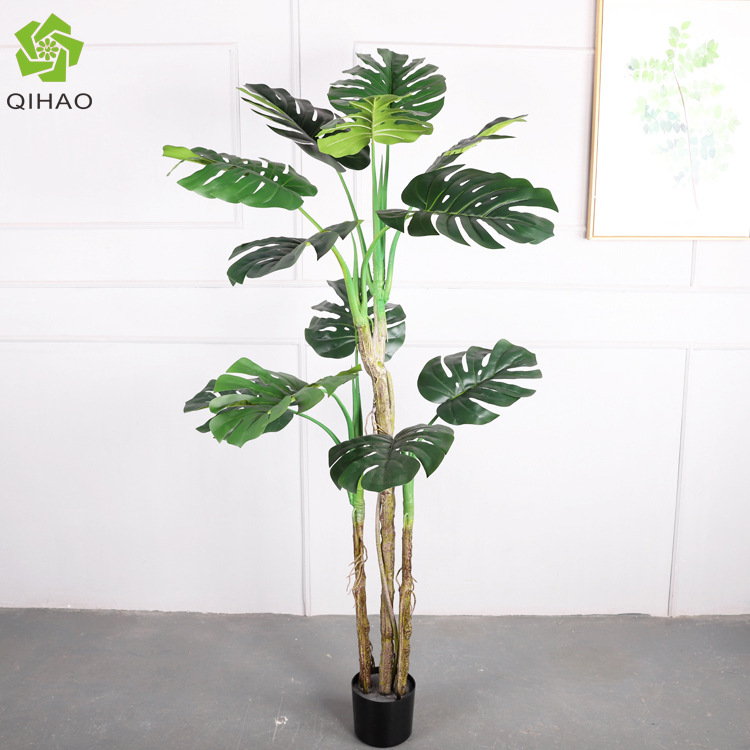 Dos de tortue 185CM Style D