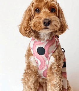 No Pull pink Line Plaid <strong>French</strong> All Size <strong>Bulldog</strong> Teddy Dog <strong>Harness</strong> Neoprene Custom Cute Print Dog <strong>Harness</strong> and Lead Set for Puppy - Product Image 4