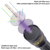 20W UV LED lampe de poche rechargeable UV vernis à ongles durcissement chat chien urine taches Tinea minerai argent Scorpion fuite marqueur détection