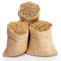 Isolat de protéines d'extrait de graines d'orge de haute qualité 80% en poudre, non-OGM, végétalien, pour barres énergétiques de nutrition sportive, qualité alimentaire, en fût