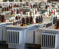Transformateur de distribution immergé dans l'huile S20 6,6 kV Triphasé 1000 kVA Économie d'énergie Faible perte Bobinage en cuivre 50 Hz Gansu Vitesen