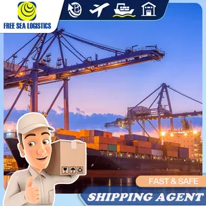 FBA DDP ตัวแทนขนส่งสินค้าทางทะเลจากจีนไปยังยุโรปการจัดส่งสินค้าโปรตุเกส