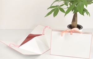 Good Quality Manufacturers Wholesale Simple Fashion <strong>Exquisite</strong> Gift <strong>Box</strong> + <strong>Paper</strong> Bag Set - Product Image 2