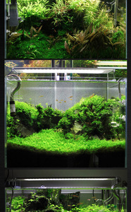 Marque originale <span class=keywords><strong>Chihiros</strong></span> UNE série <span class=keywords><strong>led</strong></span> aquatiques d'aquarium de lumière de réservoir de poissons de lumière lumière spectre complet plante poussent en alliage d'aluminium - Product Image 5