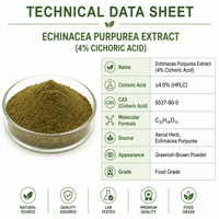 Extrait d'Échinacée Purpurea en vrac de l'usine LCHBIO, 4% d'acide cichorique, HPLC, CAS 6537-80-0, soutien immunitaire, poudre d'herbe extraite par solvant