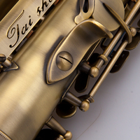 High Quality Professional Instruments Alto Saxophone with Hard case