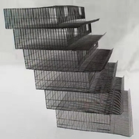 Conception d'élevage avicole pour cages d'élevage de poussins de chair d'un jour