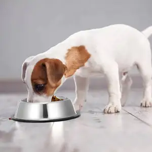 Oem/Odm Dog Bowl Slow Feeder Supplier Dog Water Bottle And Bowl