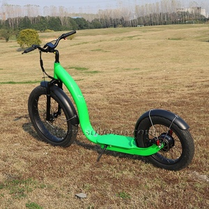 <span class=keywords><strong>2023</strong></span> precio sorpresa bicicleta eléctrica de patada 48V bicicleta de montaña eléctrica 750W 14ah neumático grueso playa crucero <span class=keywords><strong>e</strong></span> bicicleta scooter para adultos - Product Image 5