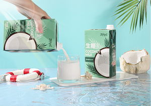 Delthin 1L latte di cocco biologico biologico Non zuccherato-senza latticini-senza glutine-Kosher-Vegan-Non ogm - Product Image 2