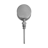 Thermomètre de température d'eau industriel radial WSS à cadran 40mm 60mm 100mm Thermomètres bimétalliques de qualité en acier inoxydable