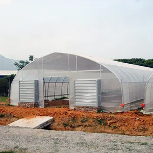 种植帐篷农业温室隧道温室蔬菜种植